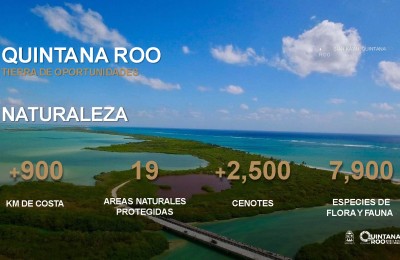 Reflexiones del Sector Inmobiliario en la Riviera Maya al Cierre del 2023 y Perspectivas para el 2024