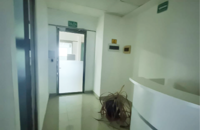 Local en Renta 31 Y 32  | Edificio Terramar