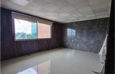 Local en Renta 55  | Edificio Terramar