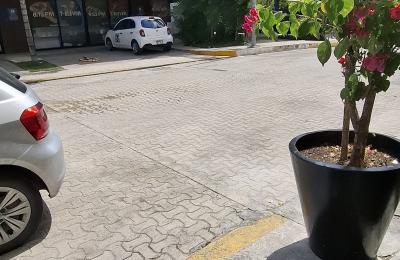 Local en Renta tipo Loft Doble Altura | Condominio Flamingos