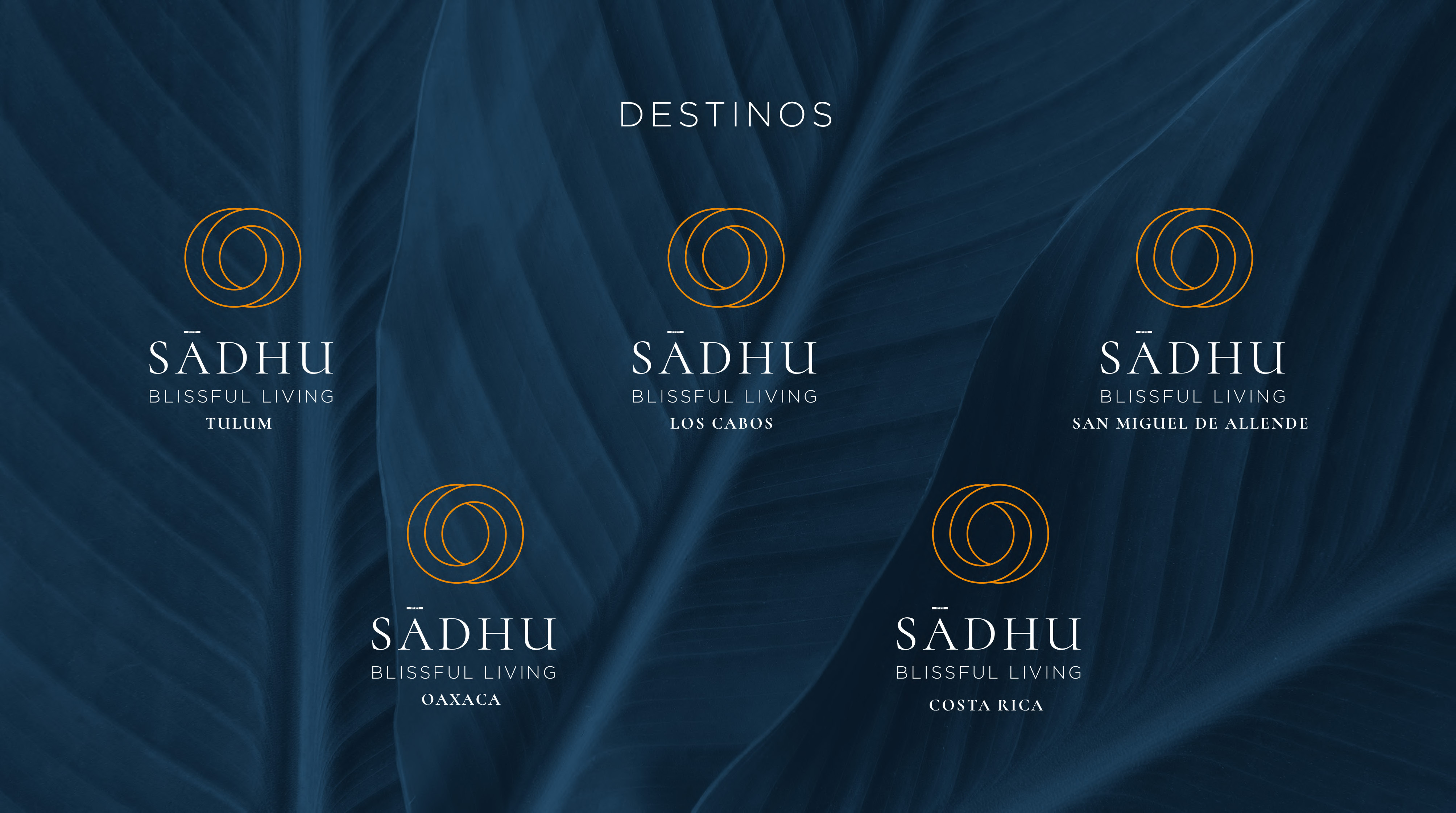 presentacion-sadhu-compressed-pagina-04.jpg