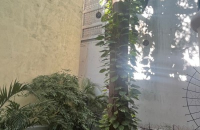 Edificio en Venta | Hora Feliz