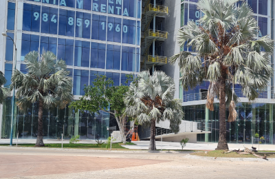 Local en Renta en Torre A | Business Center Humana