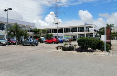 Locales en RENTA  | Plaza Palmeras