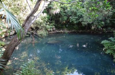 Departamento amueblado | Sirenis Xaac, Akumal