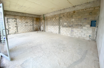 Local 216 | Plaza Palmeras