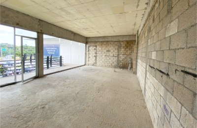 Local 216 | Plaza Palmeras