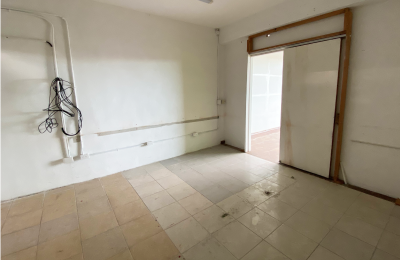 Local 207 | Plaza Palmeras