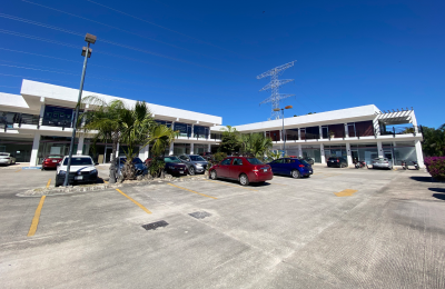 Local 207 | Plaza Palmeras